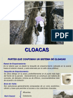 Cloacas