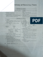 Anatomy in Flowering Plants Notes XI