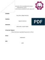 Historia de Seguridad y Salud Ocupacional - Trabajo N°1