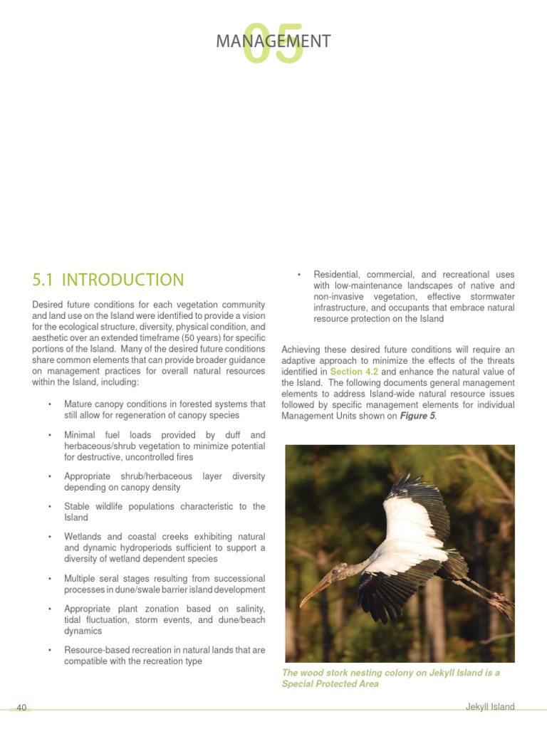 Jekyll Island Conservation Management Plan | PDF | Wetland | Beach