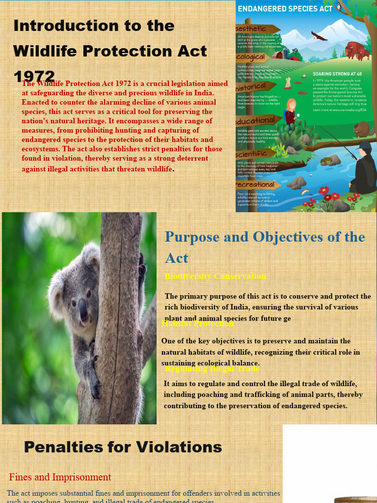 Overview of the Wildlife Protection Act 1972 | PDF | Conservation ...