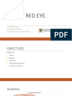 Red Eyes Presentation