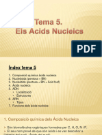 Tema 5. Àcids Nucleics