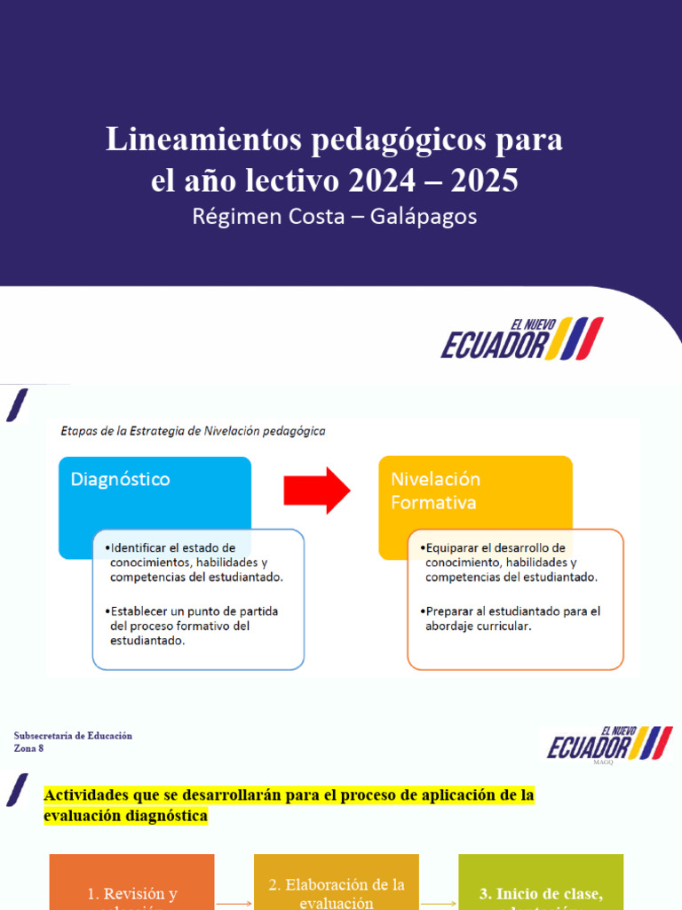 Lineamientos Pedagógicos 2024-2025 Costa | PDF | Evaluación | Plan de ...