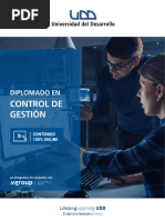 Control de Gestion UDD