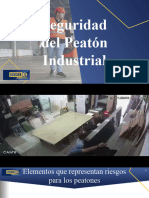 Seguridad Del Peatón Industrial