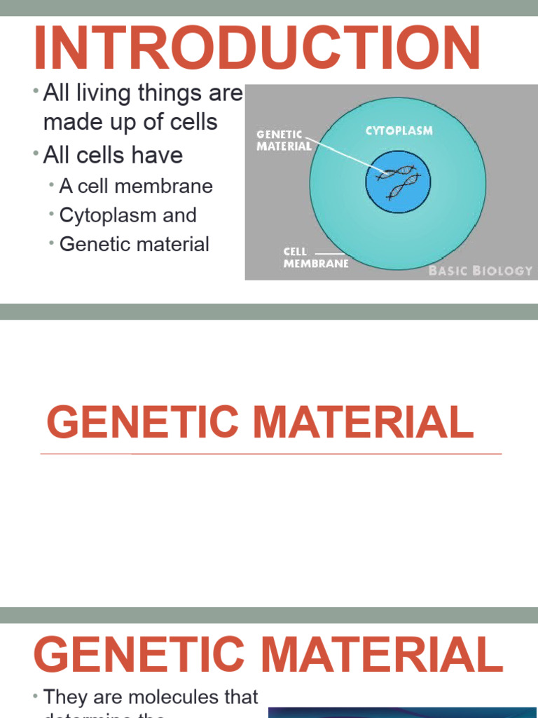 DNA: The Building Blocks of Life | PDF | Nucleotides | Genetic Code