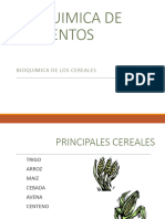 Bioquimica de Cereales-1