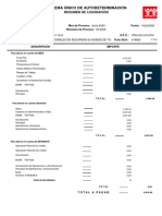 Crystal Reports - Resumen Liquidacion - GBL