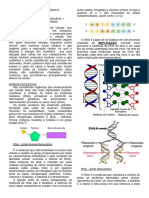 DNA e RNA