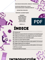 Presentación Diapositivas Biología y Ciencia Ilustrativa Morado - 20240421 - 215611 - 0000