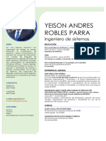 CV Yeison Robles