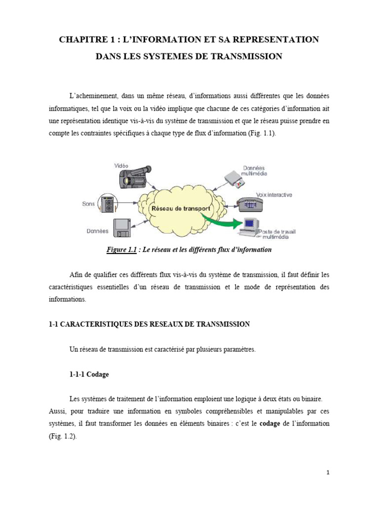 Caractéristiques des réseaux de transmission | PDF | Bit | Débit binaire