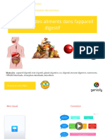 Mon Cours Le Devenir Des Aliments Dans L'appareil Digestif