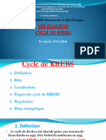 2-Cycle de Krebs