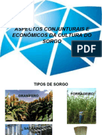 ASPECTOS CONJUNTURAIS E ECONÔMICOS DA CULTURA DO SORGO