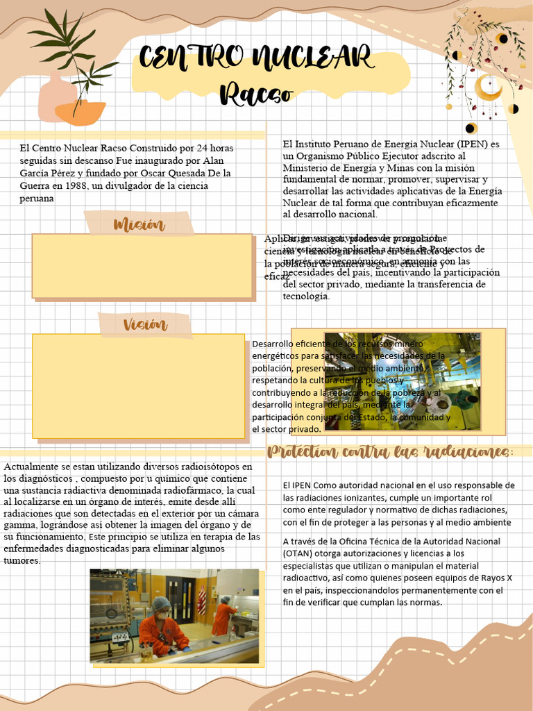 Informe Del Centro Nuclear RACSO | PDF | La energía nuclear | Radiación