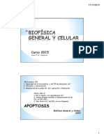 BGC2015-CLASE14 - Apoptosis