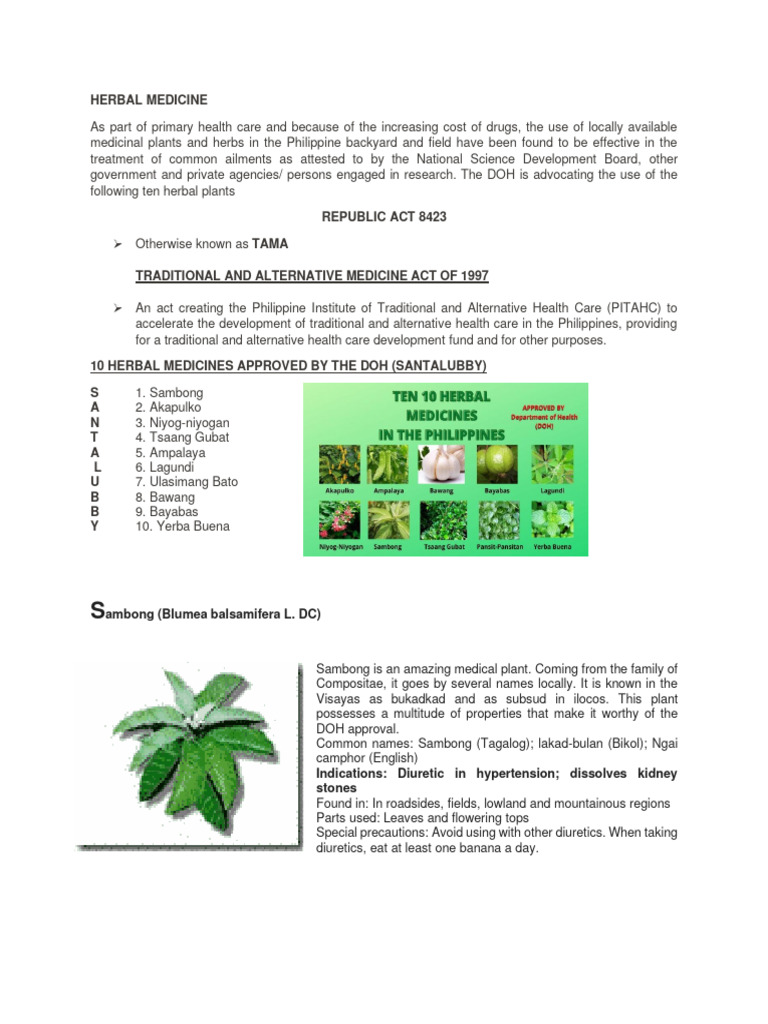 10HERBALMEDICINEApprovedbyDOHstuddentscopy PDF Garlic