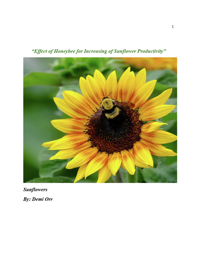 edit-in-track-changes-white-paper-pdf-pollination-flowers