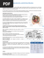 Clasificacion Popq | PDF | Vagina | Medicina CLINICA