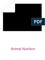 Animal Nutrition - 2023 2024
