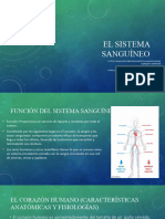 El Sistema Sanguíneo 6.2