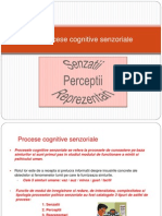 3.Procese Cognitive Senzoriale - Senzatii, Perceptii Reprezentari