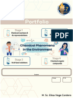 Portfolio Chemical Phenomena 2022