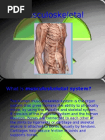 Download Ultrasound by api-3845840 SN7278903 doc pdf