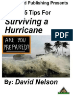 25 Tips For Surviving A Hurricane - David Nelson