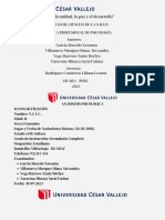 Año de La Unidad, La Paz y El Desarrollo