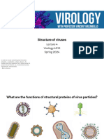 Structure of Viruses: Virology 4310 Spring 2024
