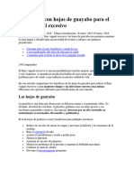 3 Remedios Con Hojas de Guayabo para El Flujo Vaginal Excesivo