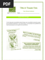 FT_A Importância Da água