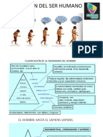 EVOLUCIÓN DEL SER HUMANO 