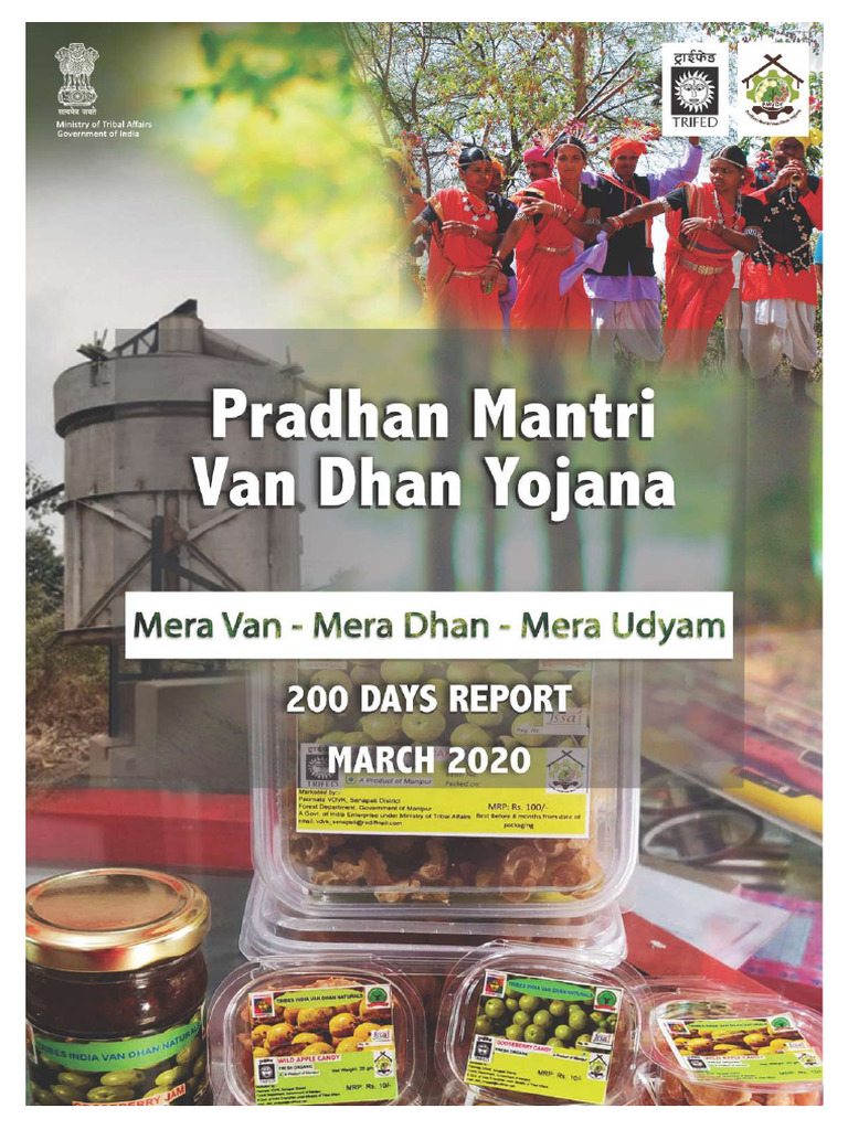 PMVDY Progress Report: 200 Days Summary | PDF