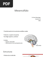 Neurociencia Educativa: Mente, Cerebro y Educación. | PDF ...