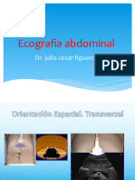 2 ecografia abdominal - copia