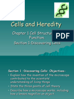 Cells and Heredity Chapter 1 Notes
