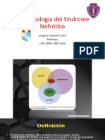 Fisiopatología Del Síndrome Nefrótico