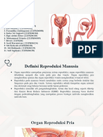 Organ Reproduksi Manusia k.2