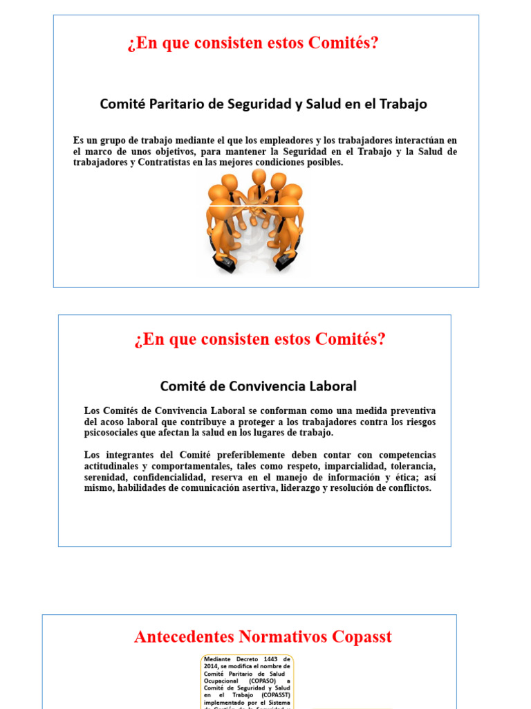Comités de Seguridad y Convivencia Laboral | PDF | Derecho laboral