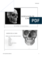 Clase Ii Osteologia de Cara 2021