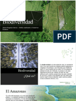 Biodiversidad Amazonas