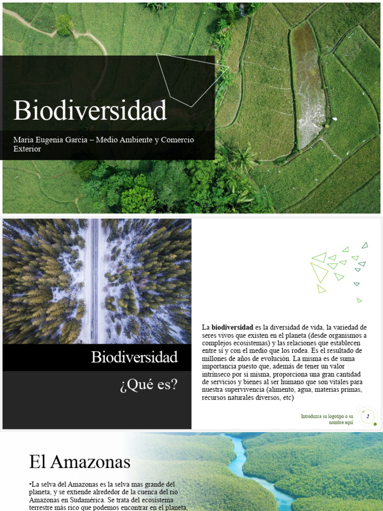Biodiversidad Amazonas Pdf Selva Amazónica Biodiversidad