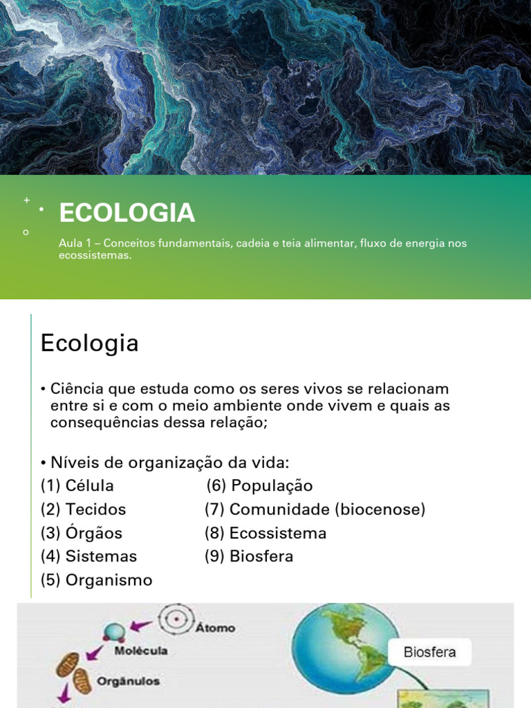 Introdução A Ecologia, Cadeia Alimentar e Fluxo de Energia - Exercícios ...