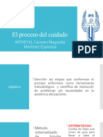 El Proceso Del Cuidado