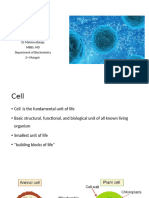 Bio 4.cell