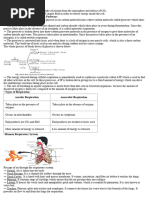 Respiration in Human Beings